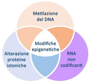 Interventi epigenetici