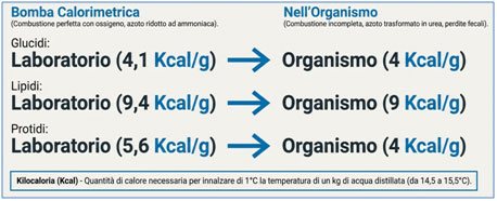 kcal