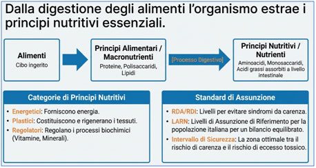 Principi nutritivi