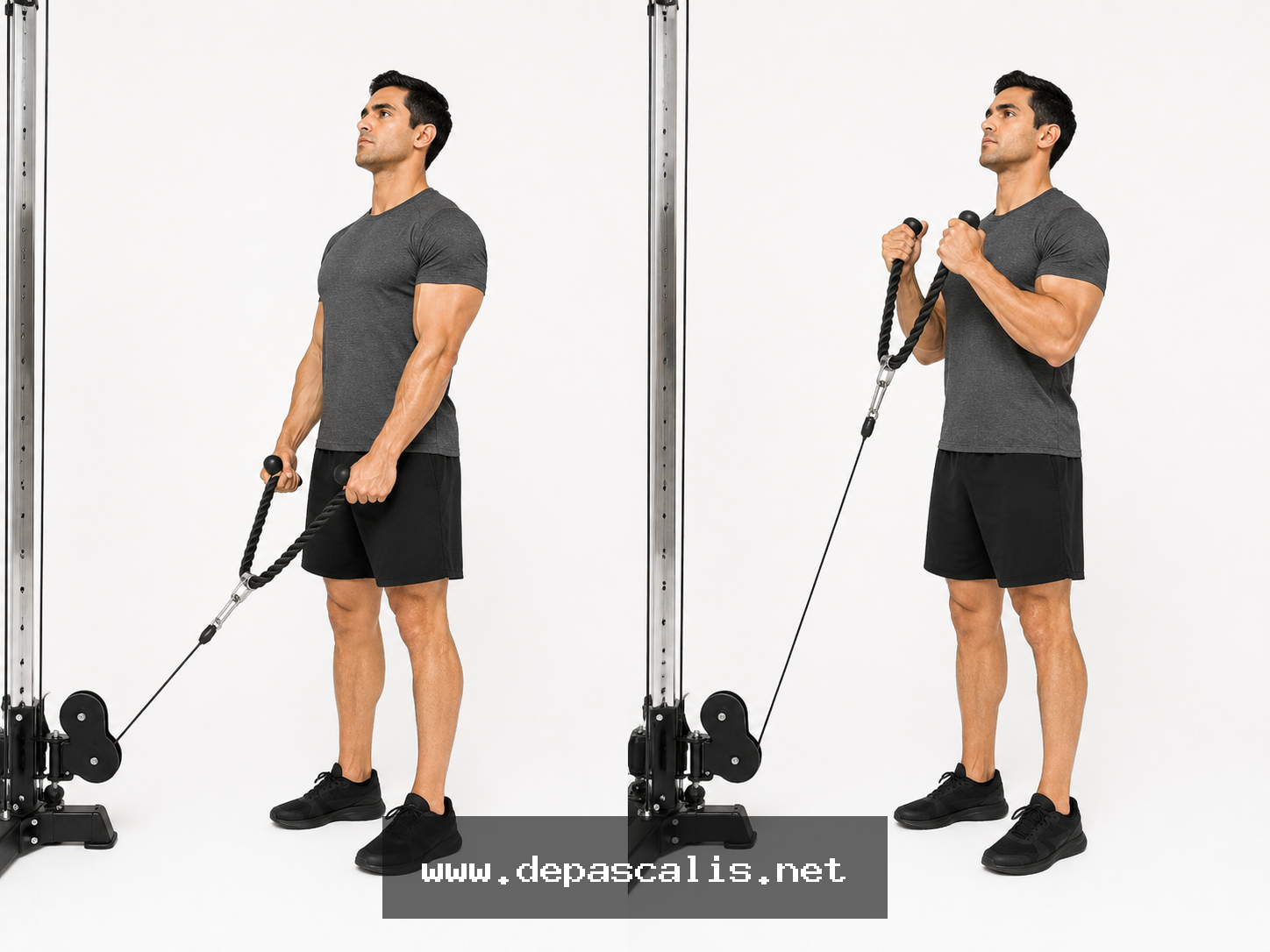 Hammer curl al cavo con fune