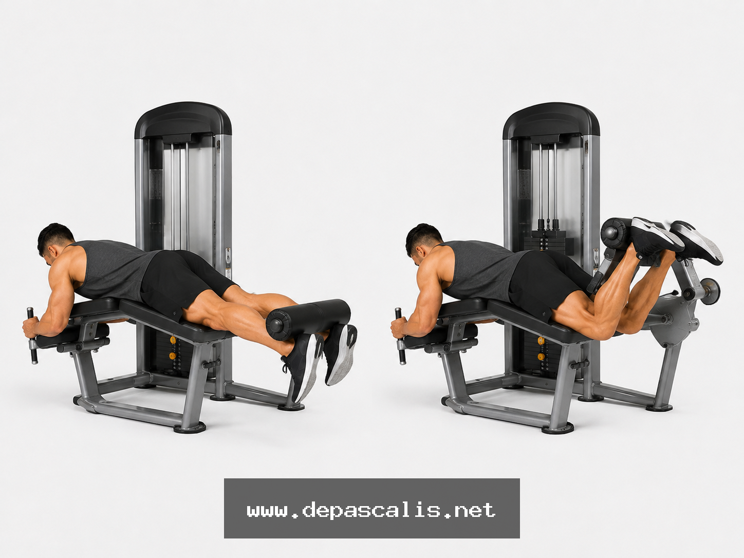 Leg curl prono