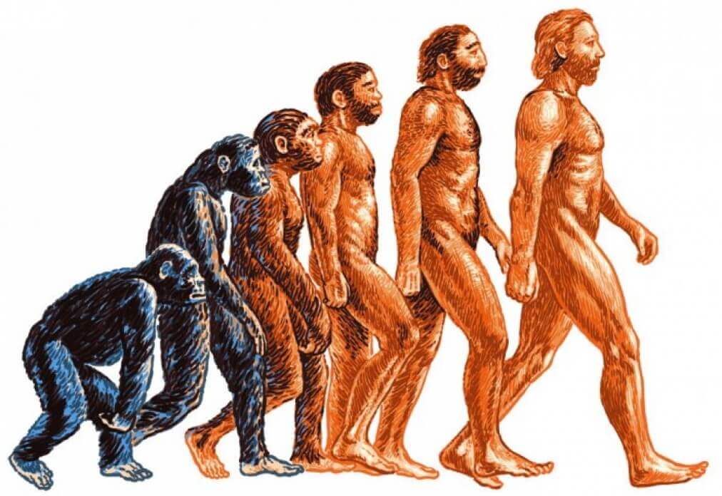 PaleoFitness o PaleoBusine$$?