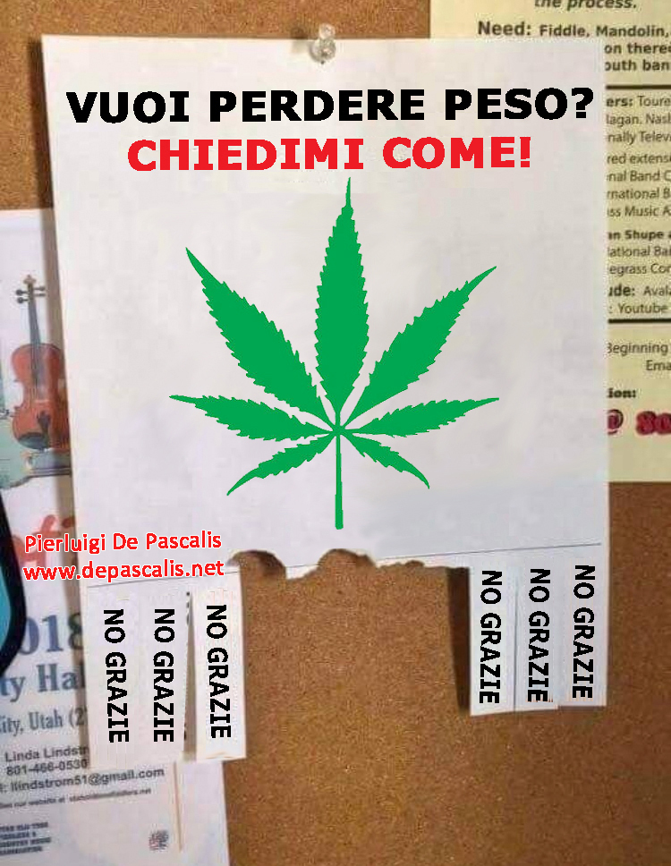 Vuoi perdere peso? Chiedimi come!