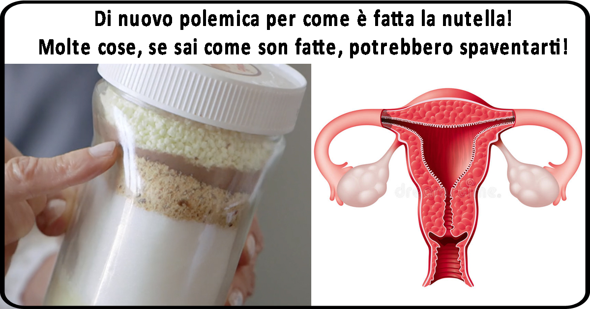 Di nuovo "polemica" su come è fatta la Nutella
