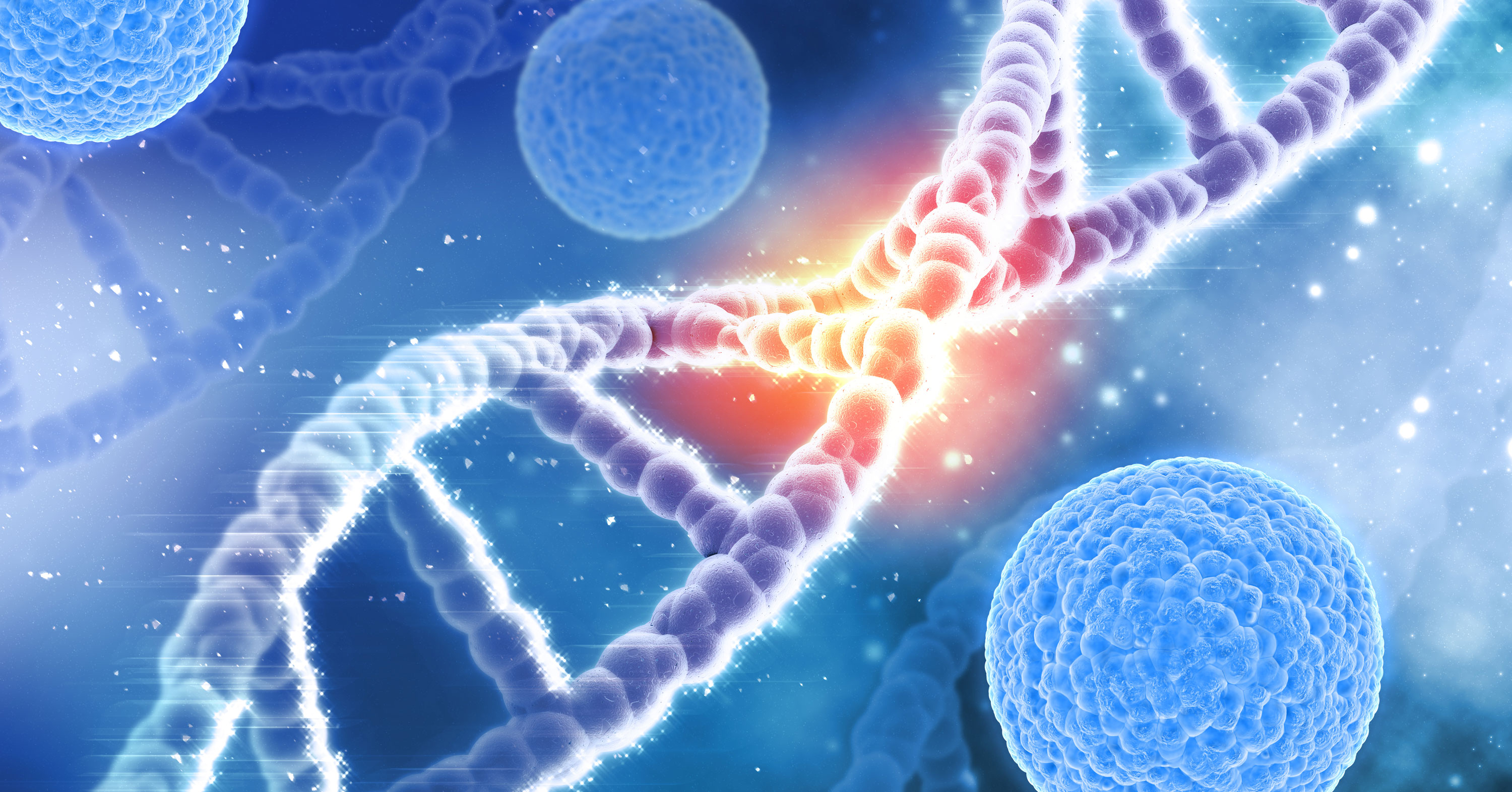 Alimentazione anti-cancro: l'azione dei fitochimici sull'RNA